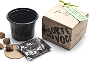 @[Brinde Ecológico Trevo de 4 Folhas personalizado]